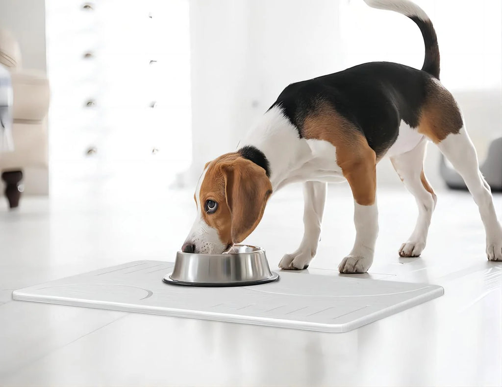 Stone Bath Mat, Super Absorbent Bathroom Mat, Quick Drying Non-Slip Shower Mat 24"X15 White